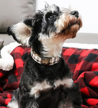 Unique style paws Dog Collar Metal Buckle Collar