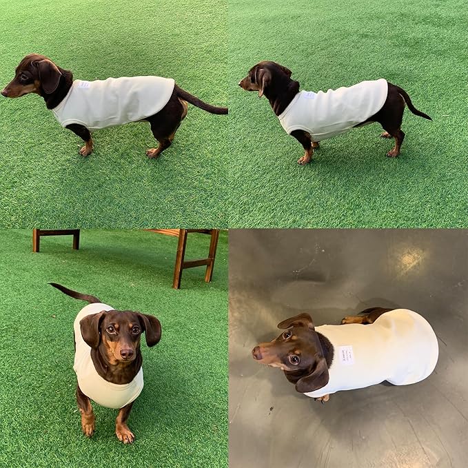 Dachshund Clothes for Dogs Mini and Adults T Shirts (XS