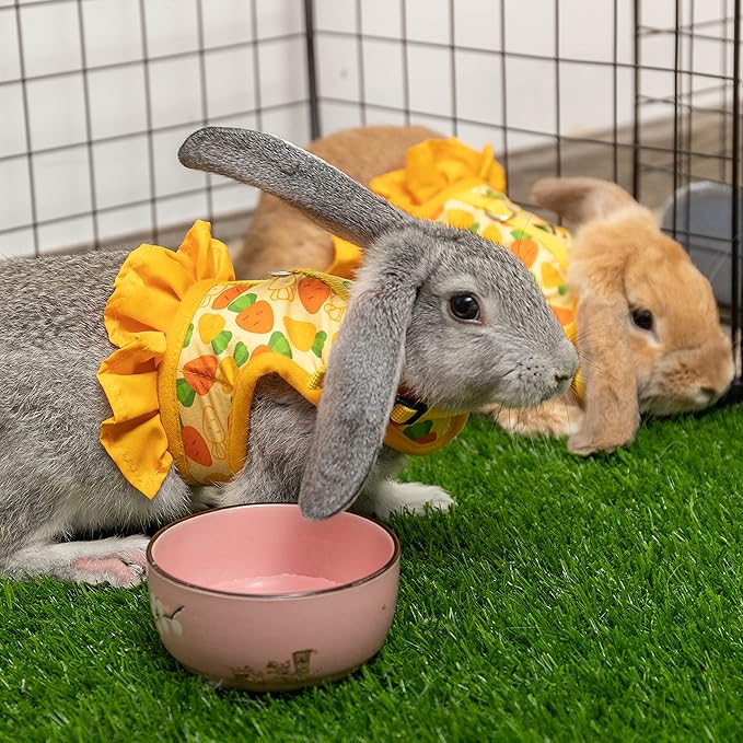 Rabbit Harness and Leash for Walking Escape Proof