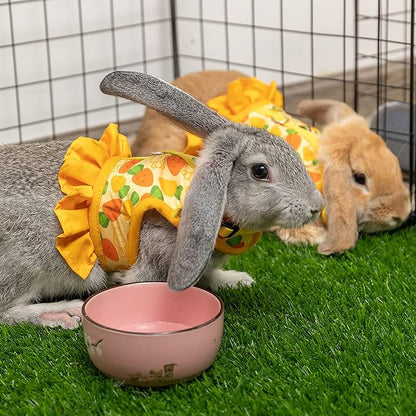 Rabbit Harness and Leash for Walking Escape Proof