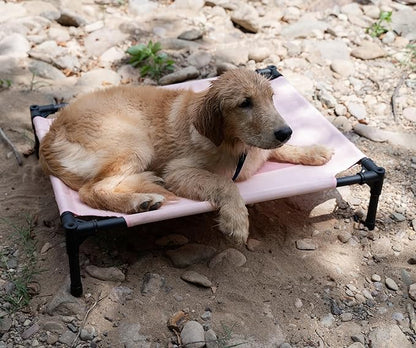 Pink Elevated Dog Bed for Medium Dogs Outdoor,30 * 24 * 7 inches