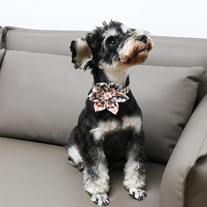 Unique Style Paws Cotton Dog Collar with Bow