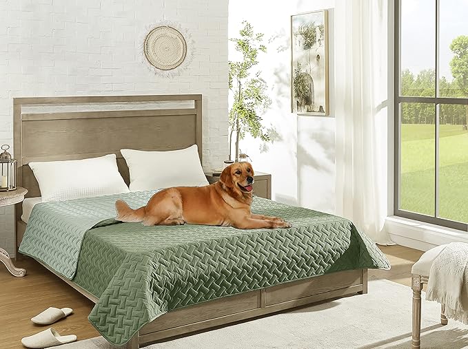 gogobunny 100% Double Sided Waterproof Dog Blanket Soft Pet Bed Cover Reversible Protect Furniture Couch Sofa Car for Puppy Cat Kids (Dark Green/Light Green 30x70 Inch 1))