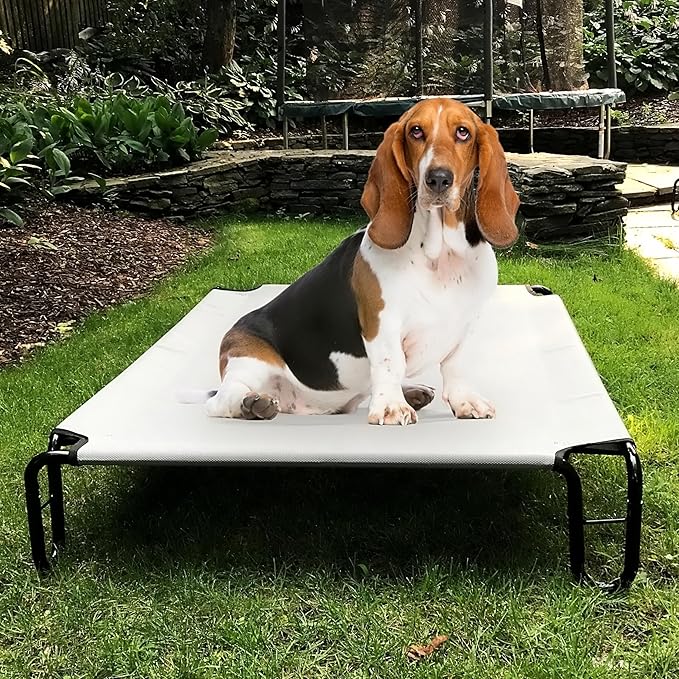 Elevated Dog Bed 35 x 28 x 8 inches