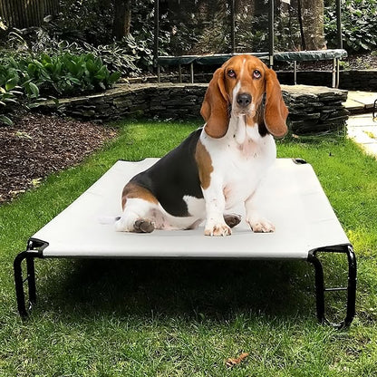 Elevated Dog Bed 35 x 28 x 8 inches