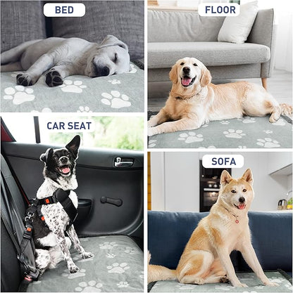 Kritter Planet Waterproof Paw Blankets