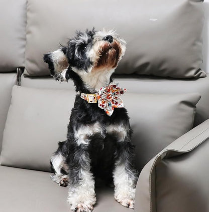 Unique Style Paws Cotton Dog Collar with Bow