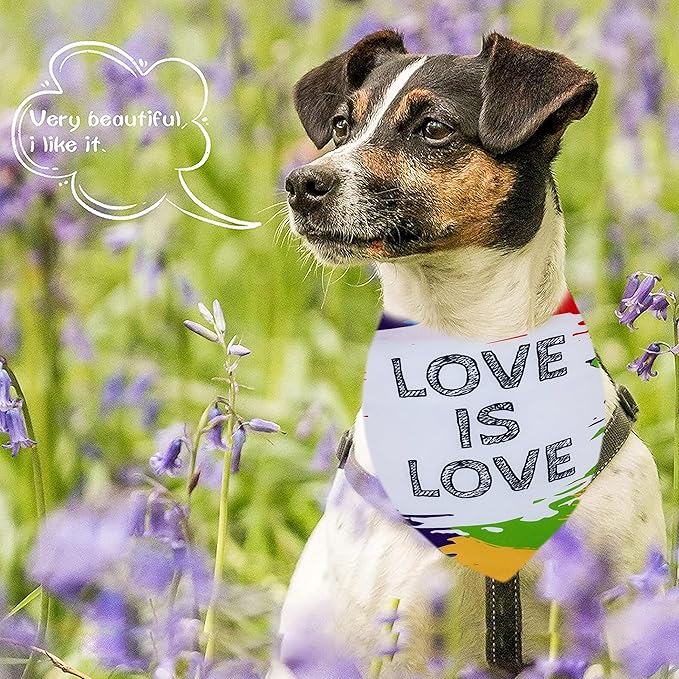 10PCS Pride Day Dog Bandanas with Rainbow Color for Medium Dog Triangle Bibs Scarves Boys and Girls Gay Pride with Love is Love Kiss Me Grooming Accessories Costume