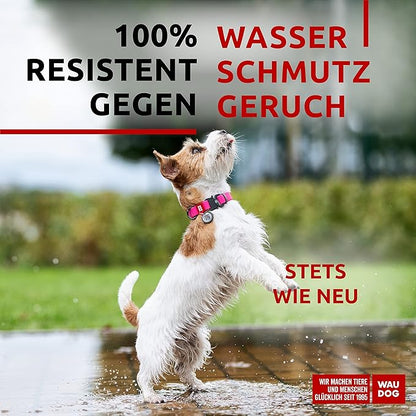 WAUDOG Waterproof Dog Collar