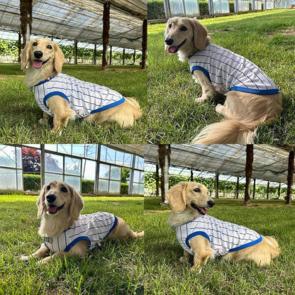 Dachshund Clothes for Dogs Baseball Mini and Adults T Shirts (S