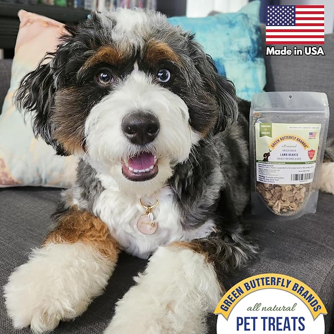 Freeze Dried Lamb Heart Dog Treats Made in USA. All Natural Freeze-Dried Raw Snacks for Dogs and Cats. Single Ingredient. High Protein. Heart Health. Irresistible Training Treat