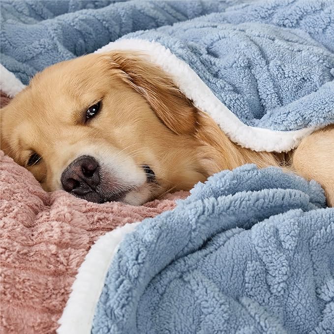 Bedsure Waterproof Dog Blankets for Large Dogs 60x80, Light