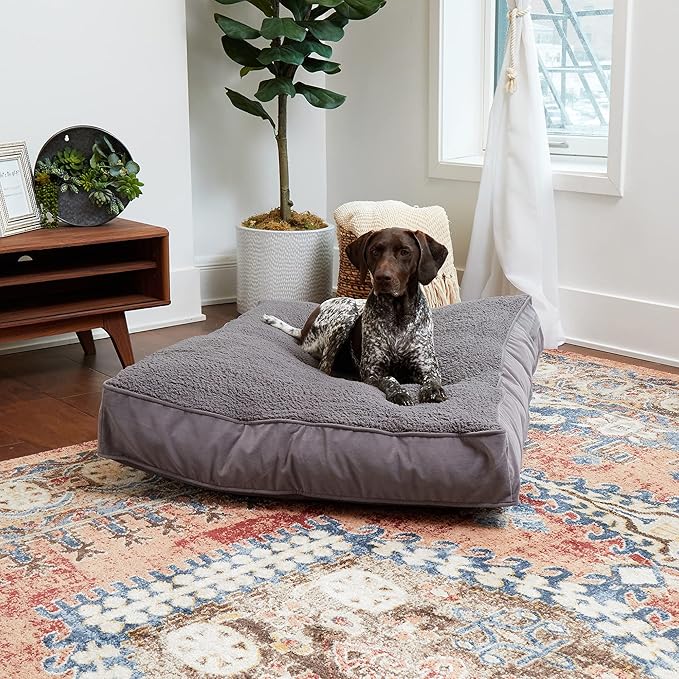 Buster Deluxe Reversible Pillow Style Sherpa Dog Bed (48 x 36 in.)