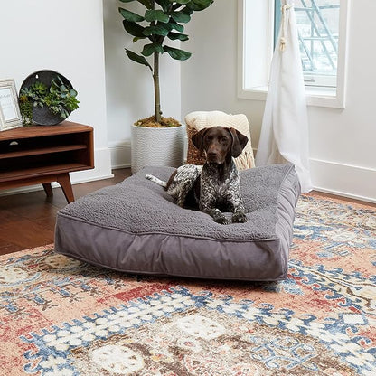 South Pine Porch Buddy Rectangle Pillow Style Dog Bed (48" x 36")