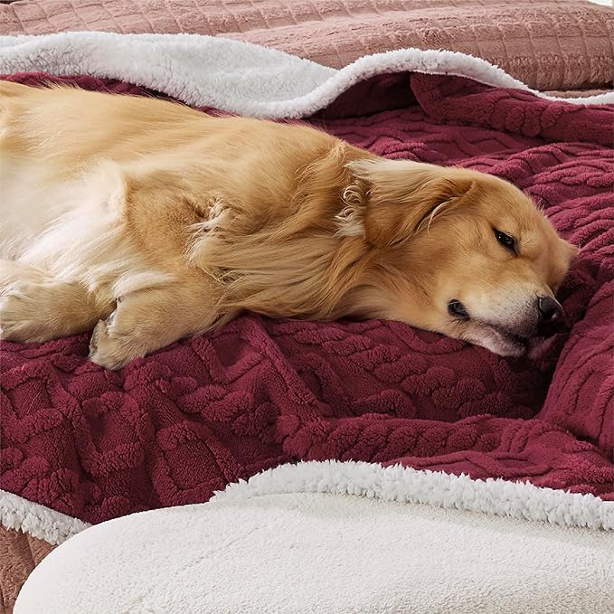 Bedsure Waterproof Dog Blankets for Large Dogs 60x80, Burgundy