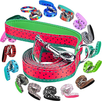 EcoBark Dog Leash - 4 FT / 5 FT / 6 FT Reflective Dog Leash- Eco-Bright Dog Leashes with Padded Handle - Strong Heavy Duty Dog Leash - Nylon Dog Leash for Medium and Large Dogs (Watermelon Dog Leash)