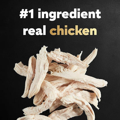 CESAR Adult Small Breed Dry Dog Food Rotisserie Chicken Flavor with Spring Vegetables Garnish, 5 lb. Bag