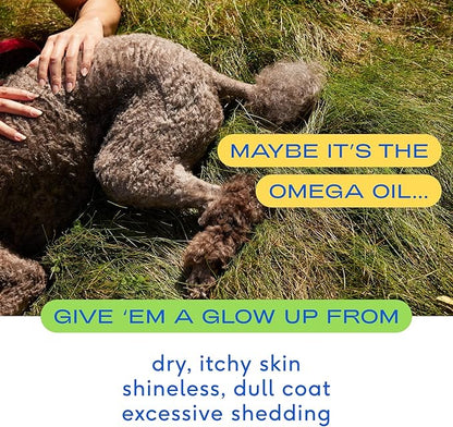 Native Pet Omega 3 Fish Oil for Dogs - Made with Wild Alaskan Salmon Oil for Dogs with Omega 3 EPA DHA - Supports Itchy Skin + Mobility - Liquid Pump is Easy to Serve - a Fish Oil Dogs Love! (8 oz)