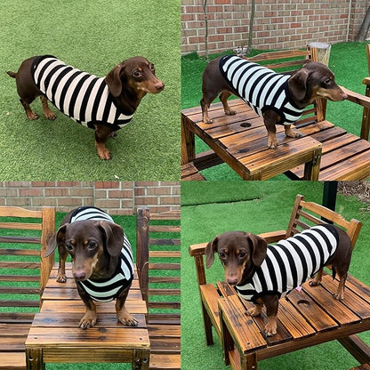 Dachshund Clothes for Dogs Mini and Adults T Shirts (L