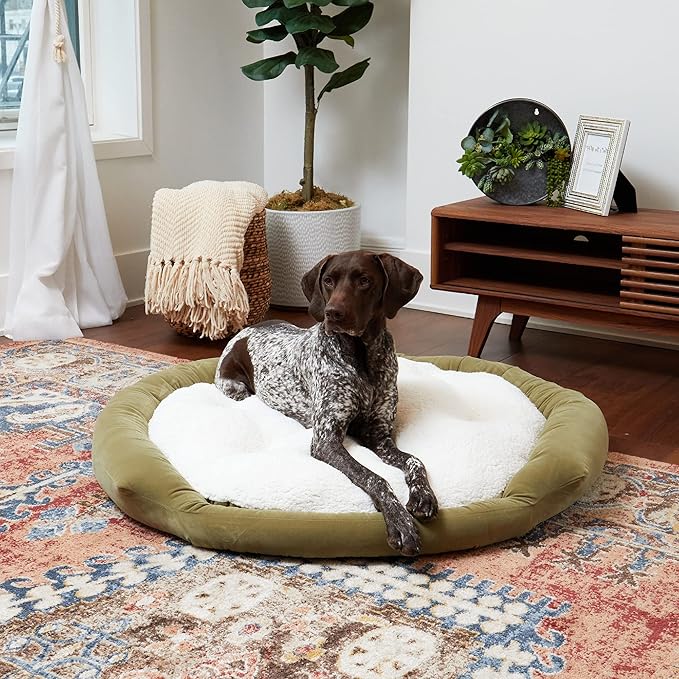 Maddie Donut Dog Bed with Removable Center Pillow (42" x 42")