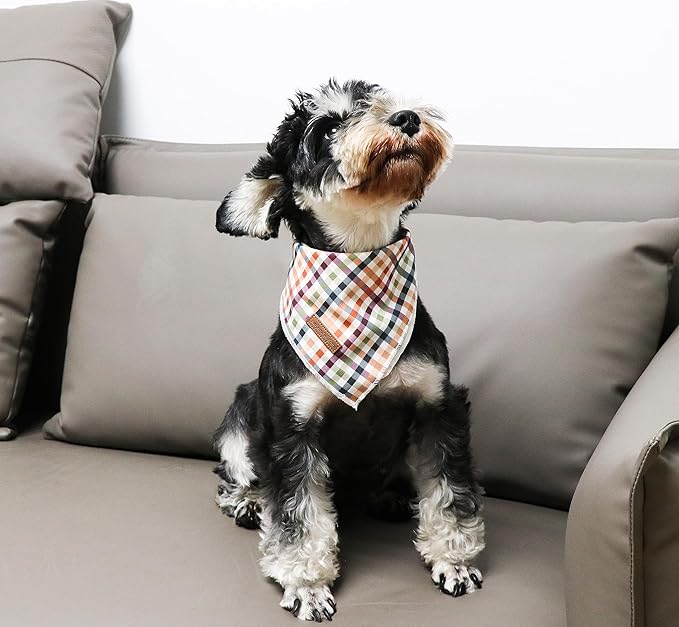 Unique Style Paws Cotton Dog Collar with Bow