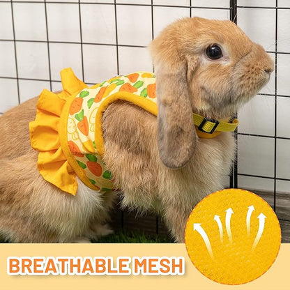 Rabbit Harness and Leash for Walking Escape Proof