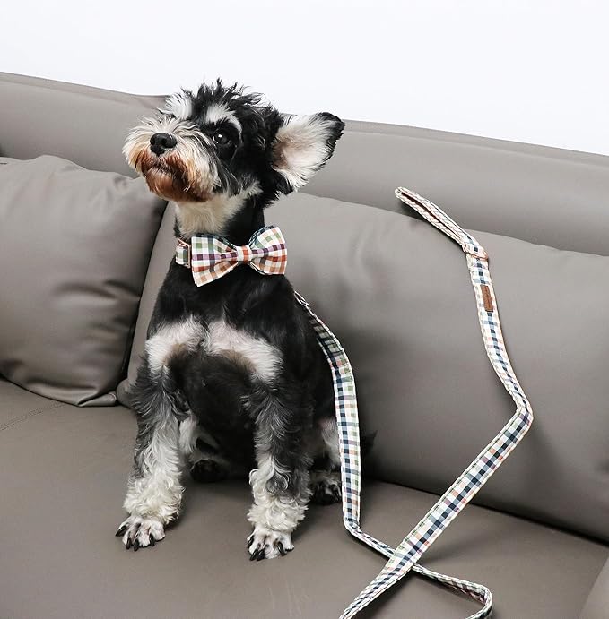 Unique Style Paws Cotton Dog Collar with Bow
