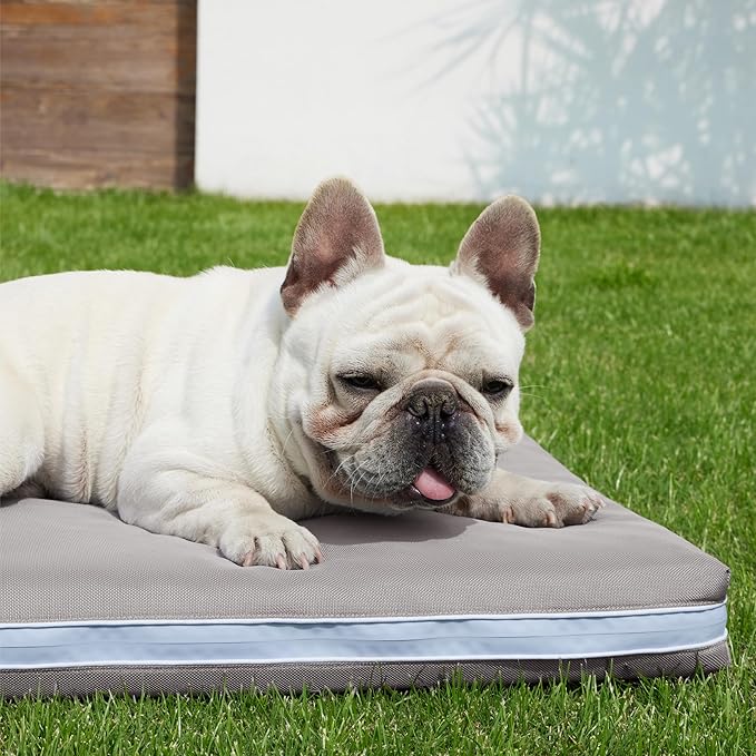 Bedsure Chewproof Durable Outdoor Waterproof Dog Bed with Heavy Duty Cover (30"x20", Grey)