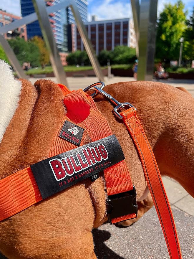 BULLHUG Harness – Made for Larger Chested Dogs Like English Bulldogs