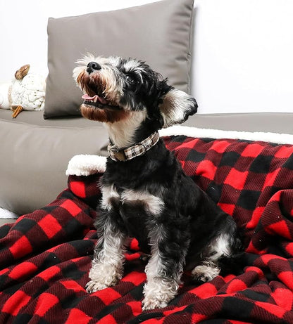 Unique style paws Dog Collar Metal Buckle Collar