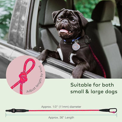 Dog Seat Belt for Car | Universal Dog Car Seatbelt | Durable Reflective Dog Seatbelt with Clip Hook Latch, Buckle and Carabiner- Safe and Secure Pet Safety Restraint for Dog (Pink)