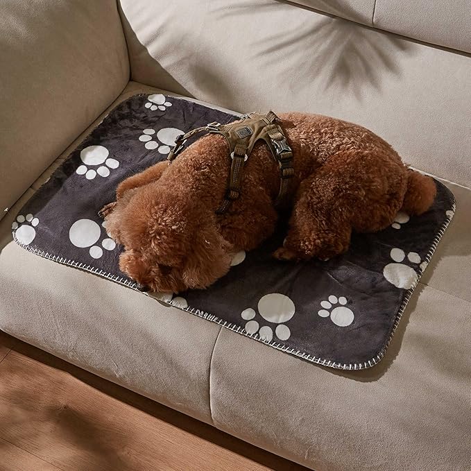 Kritter Planet Waterproof Small Dog Blanket