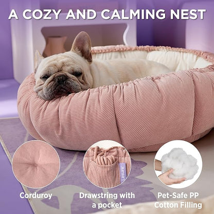 Lesure Cat Beds for Indoor Cats 21x21x7 Inches