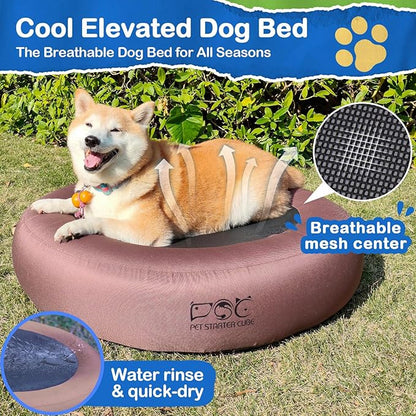 Elevated Dog Bed