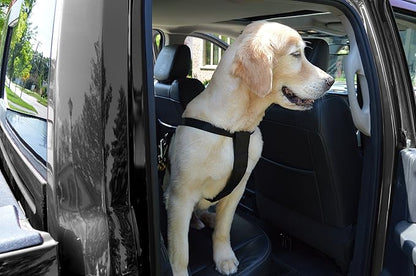 Downtown Pet Supply 10 to 25 lbs