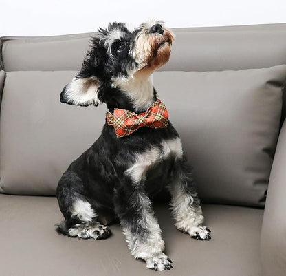 Unique Style Paws Cotton Dog Collar with Bow