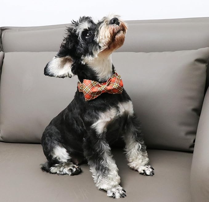 Unique Style Paws Cotton Dog Collar with Bow