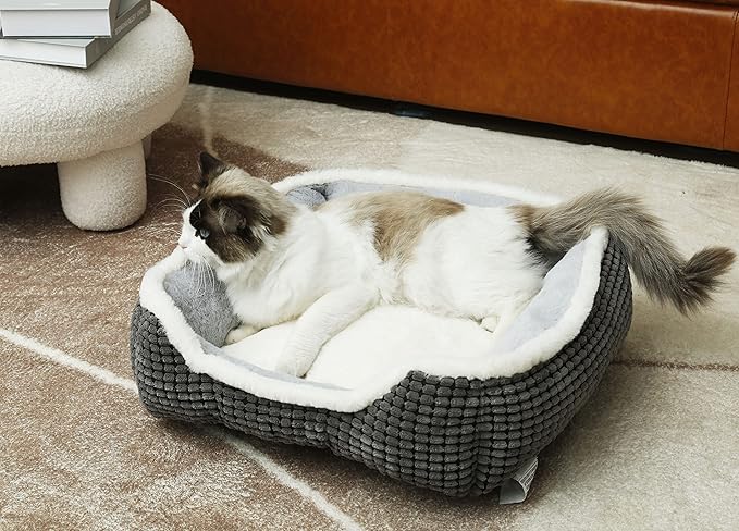 Dog Beds for Small Dogs