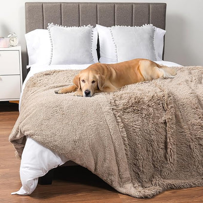 PetAmi Waterproof Dog Blanket for Large Dog 60x80 Taupe