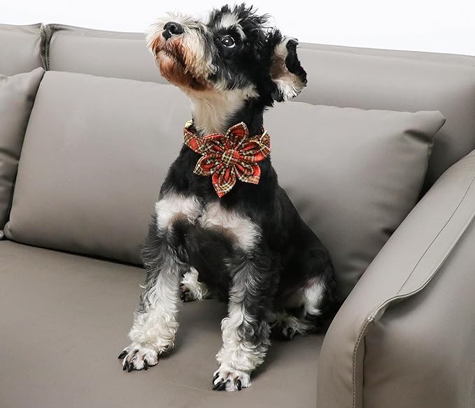 Unique Style Paws Cotton Dog Collar with Bow