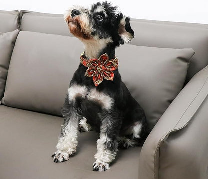 Unique Style Paws Cotton Dog Collar with Bow