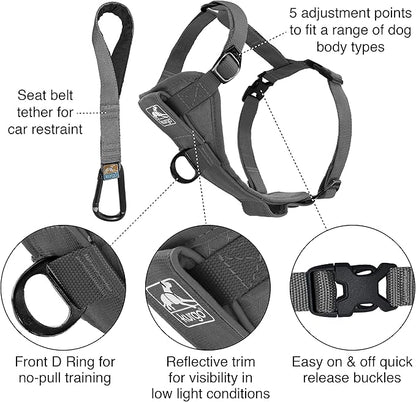 Kurgo Tru-Fit Smart Harness, Dog Harness, Pet Walking Harness, Quick Release Buckles, Front D-Ring for No Pull Training, includes Dog Seat Belt Tether (Grey, Large)