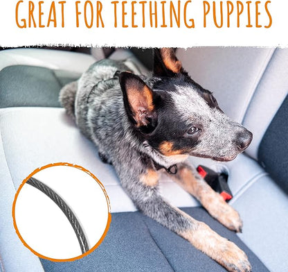 Mighty Paw Dog Seat Belt Vehicle - Chew-Proof Dog Belt - Great for Teething Puppies - Latch Bar Attachment Like Child's Car Seat - Aviation Aluminum Carabiner - Strong Enough for Climbers - 850+ LB