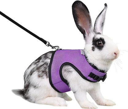 Niteangel Adjustable Soft Harness with Elastic Leash for Rabbits (L, Purple)