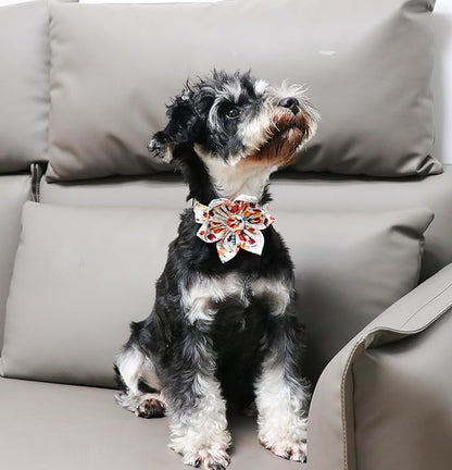 Unique Style Paws Cotton Dog Collar with Bow
