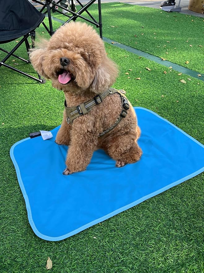 Kritter Planet Waterproof Cooling Dog Mat 20 x 30 inch,