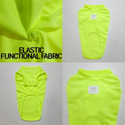 Dachshund Clothes for Dogs Mini and Adults Neon T Shirts (XL