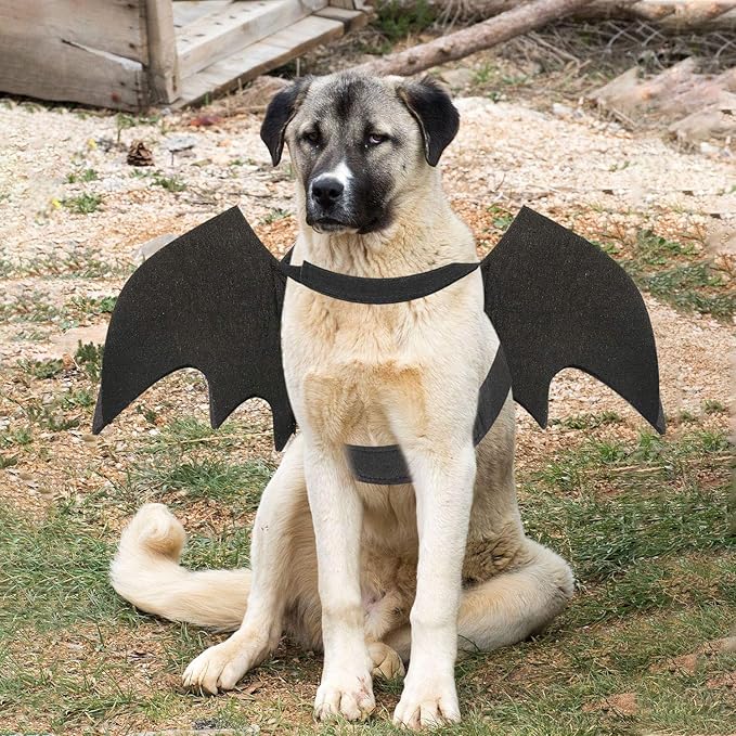 Rypet Dog Bat Costume - Halloween Pet Costume Bat Wings Cosplay Dog Costume Cat Costume for Party XL