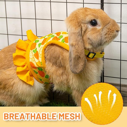 Rabbit Harness and Leash for Walking Escape Proof - Cute Carrot Pattern Mesh Breathable Bunny Vest Harness Outdoor Camping Hiking Training - Also Suit for Ferret Kitten Puppy Small Animals