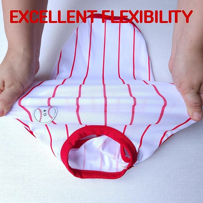 Dachshund Clothes for Dogs Baseball Mini and Adults T Shirts (M